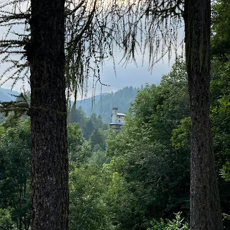 Il Castello Nel Bosco, Torrente Appartamento Champorcher